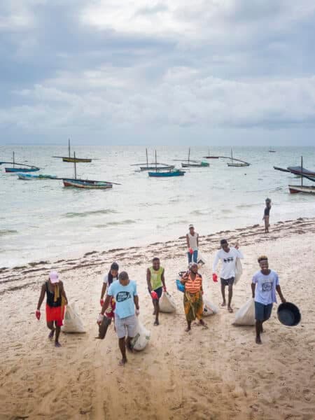 Conservation and Sustainability