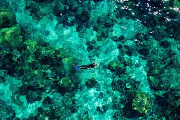 Exploring Marine Life in Bazaruto