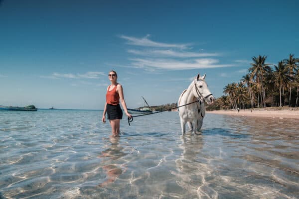 Horseback Riding