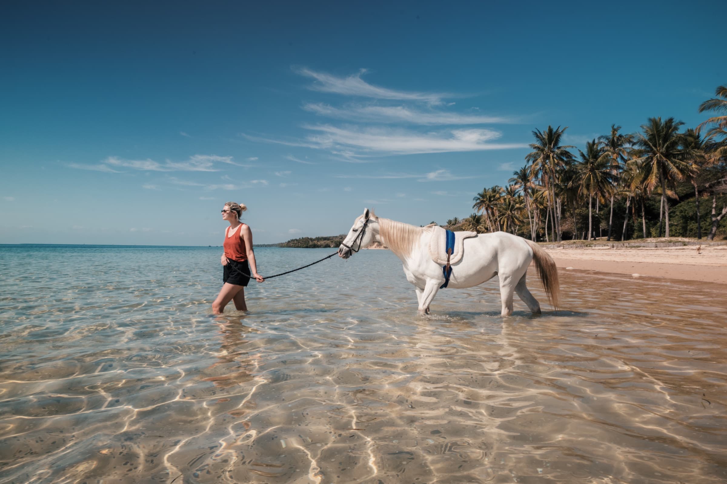 Safari a Cavalo – Passeio no Mar