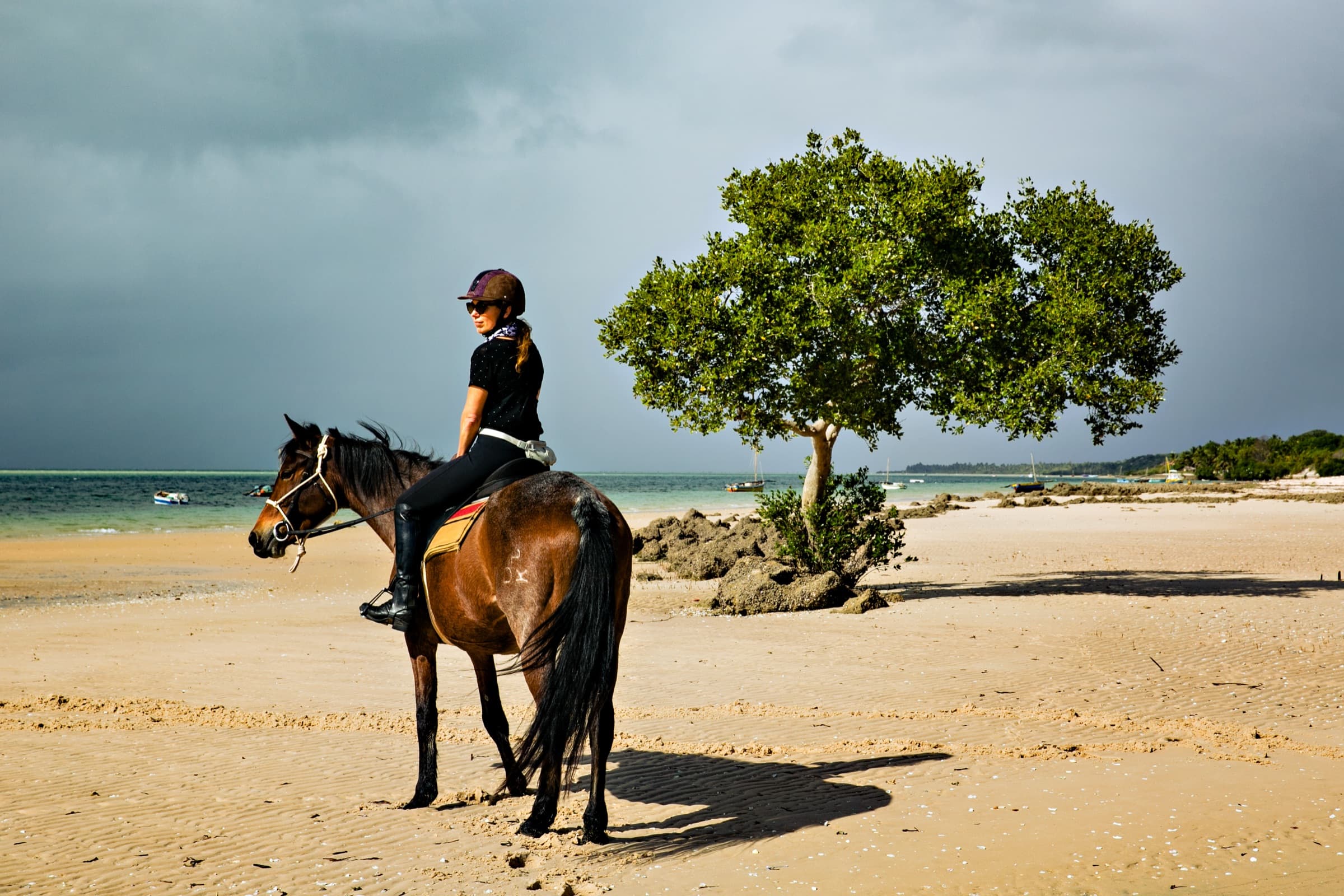 Safari a Cavalo – Praia e Mato