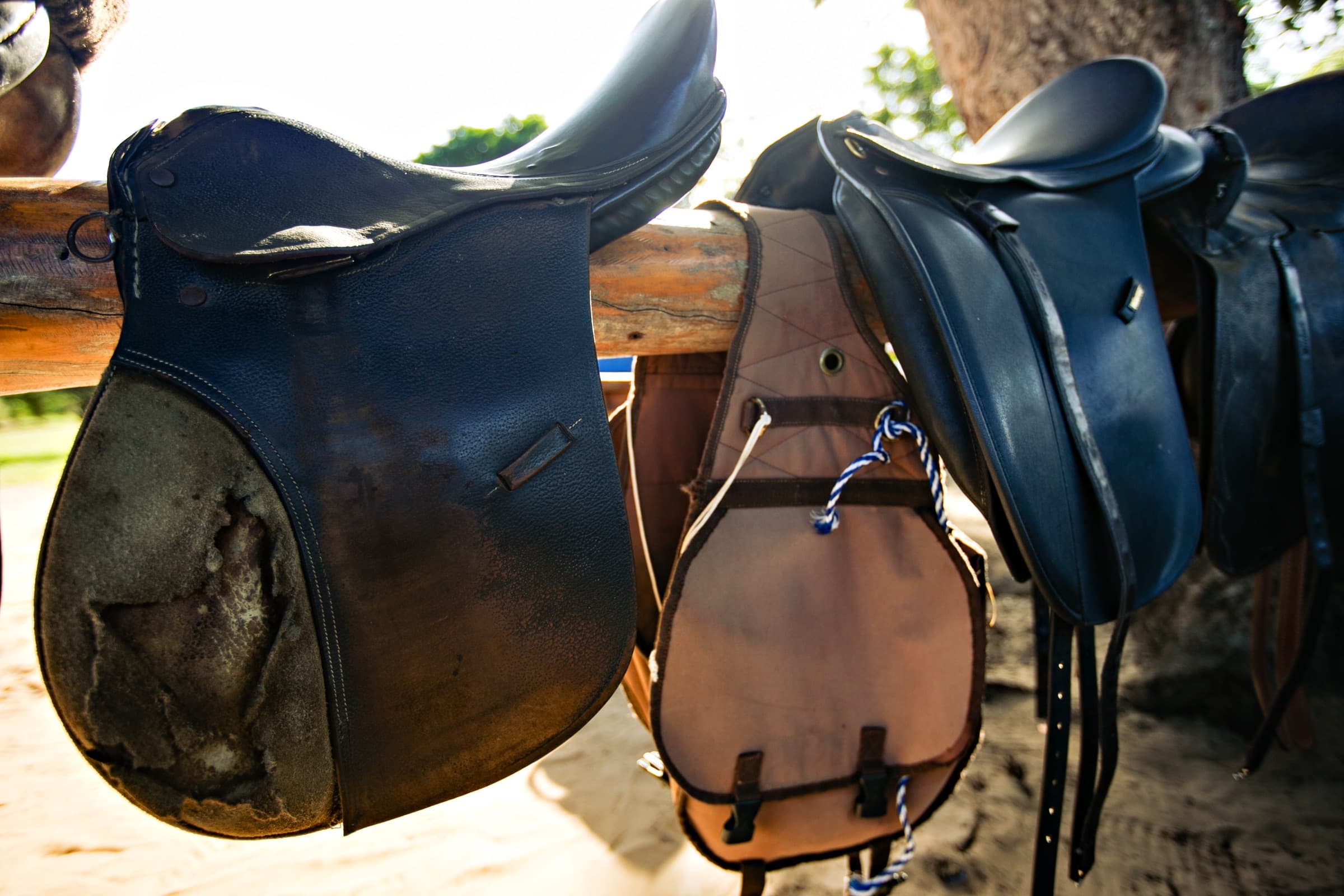 Safari a Cavalo – Aldeias de Pescadores