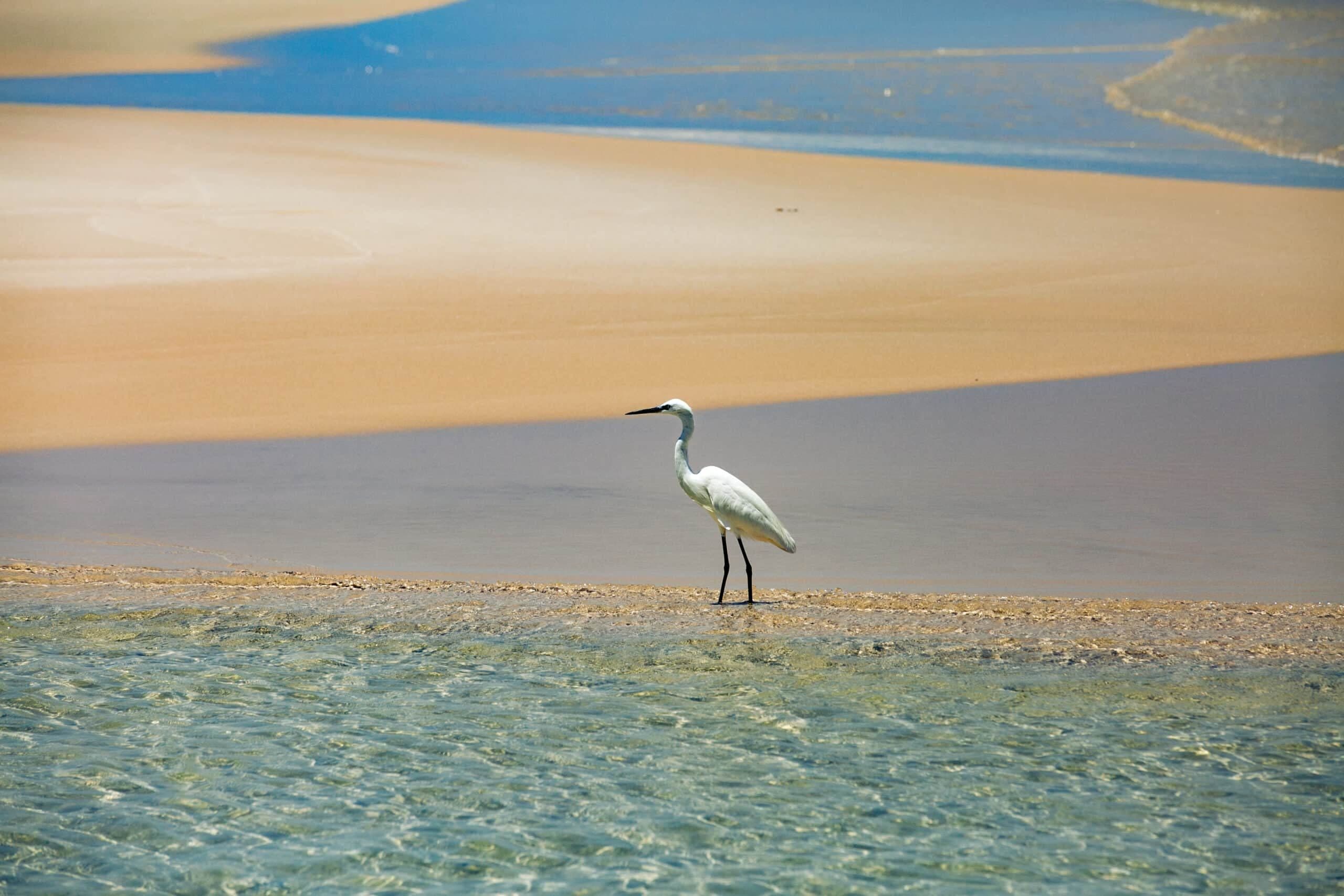Fotografia de marketing do Vilanculos Beach Lodge 45
