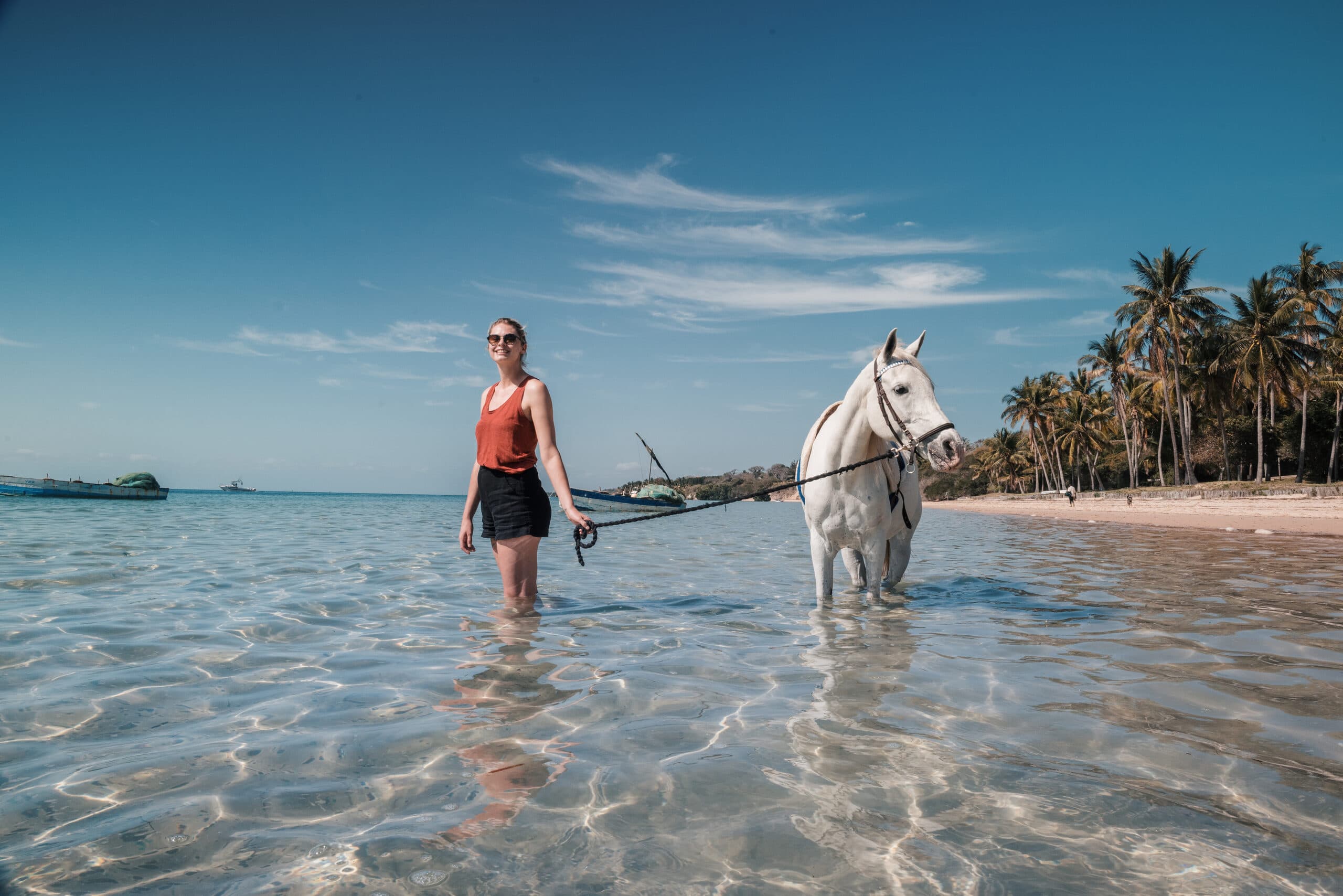 Fotografia de marketing do Vilanculos Beach Lodge 86