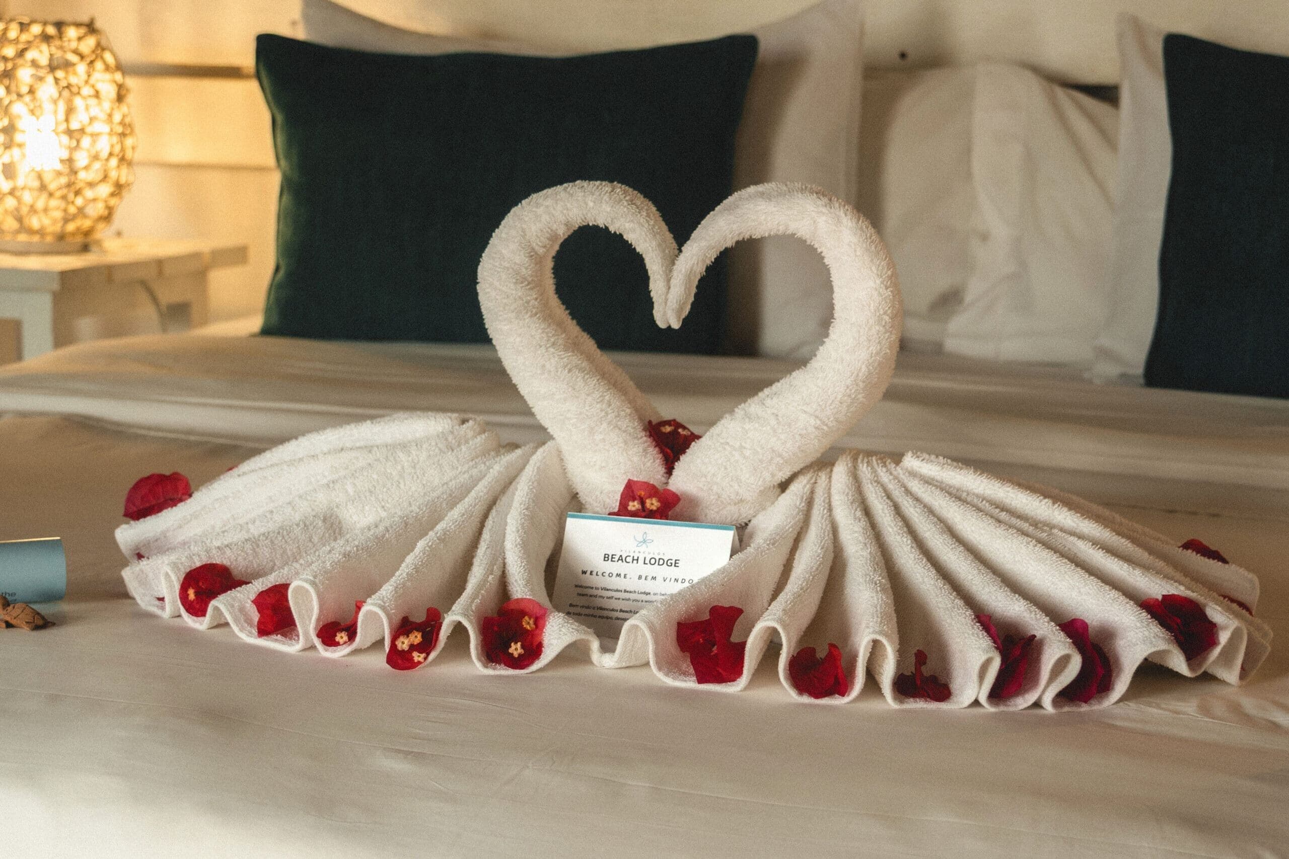 Fotografia de marketing do Vilanculos Beach Lodge 22